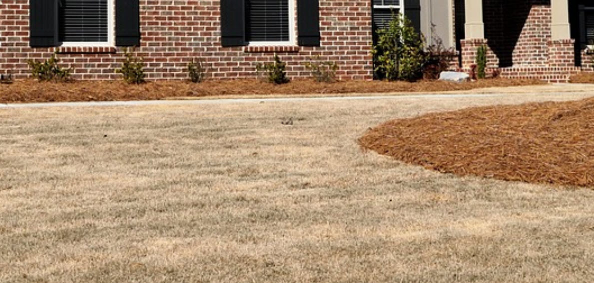 Lawn Care During Drought - How to Help Your Yard