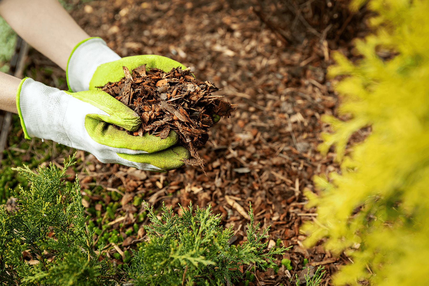 The Benefits of Mulch In Every Season