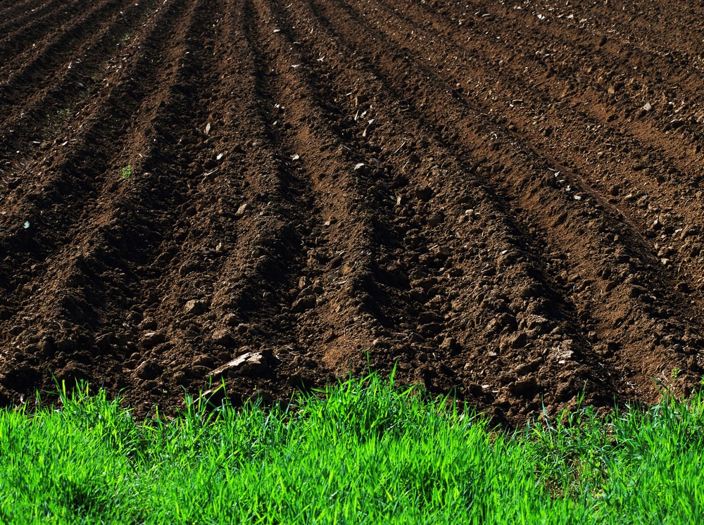 How Much Topsoil? – JK Enterprise Landscape Supply
